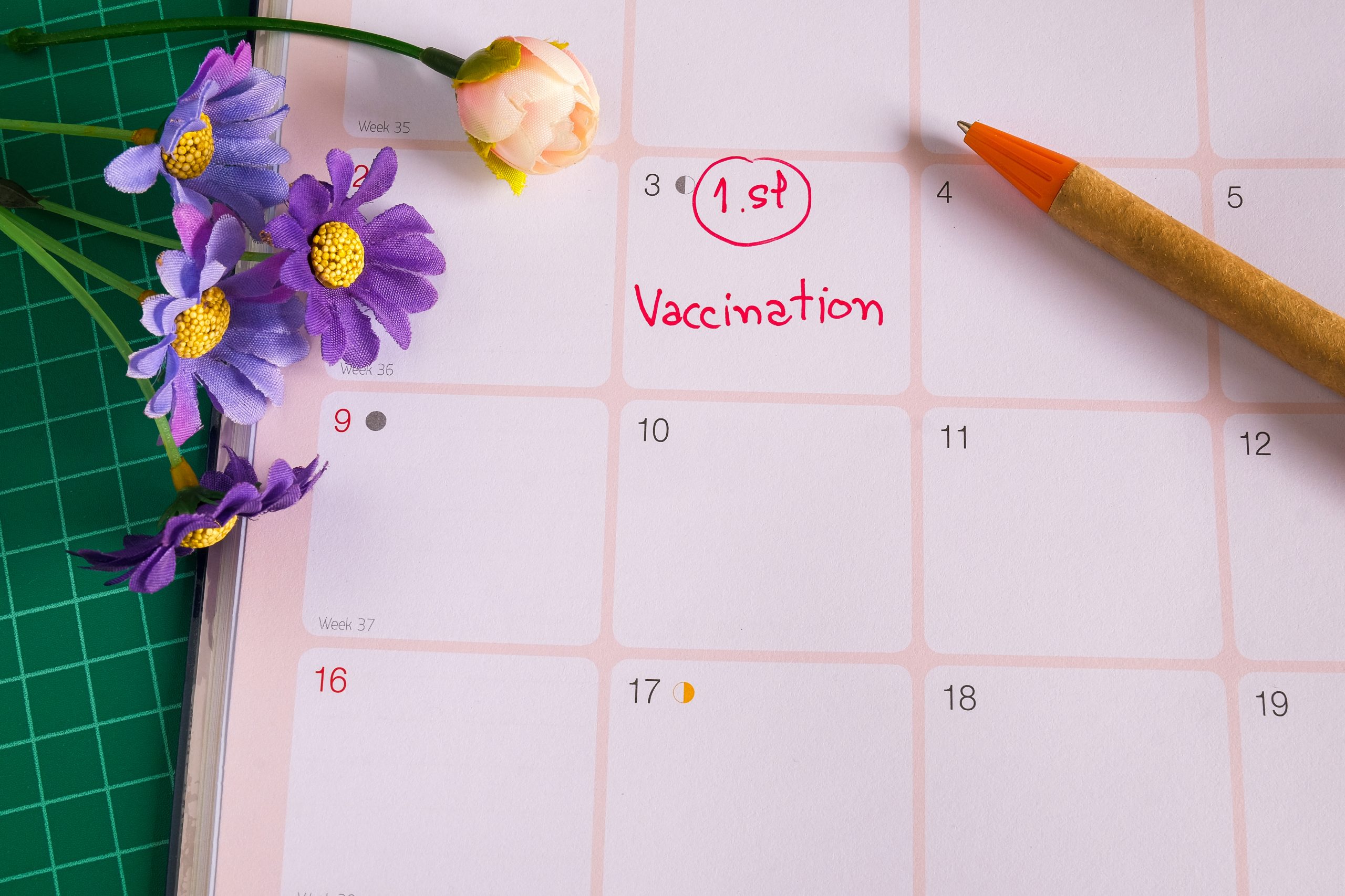 Prenotazione vaccinazione covid-19